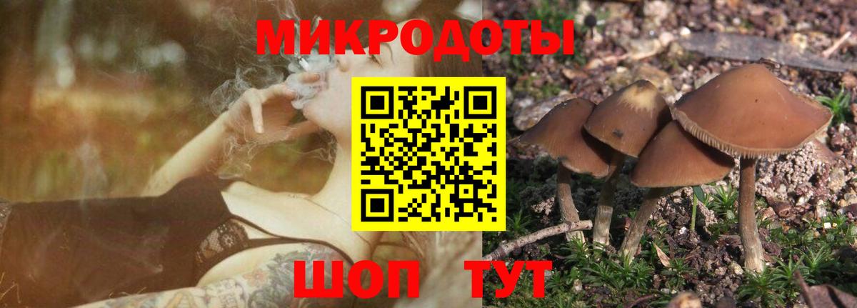 Псилоцибиновые грибы GOLDEN TEACHER  Вход с VPN  Галлюциногенные грибы прущие грибы  Краснознаменск 